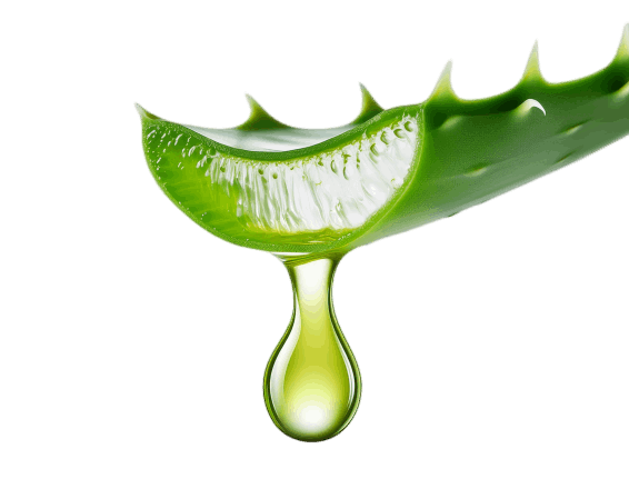 טיפה נופלת מעלה